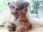 Katter